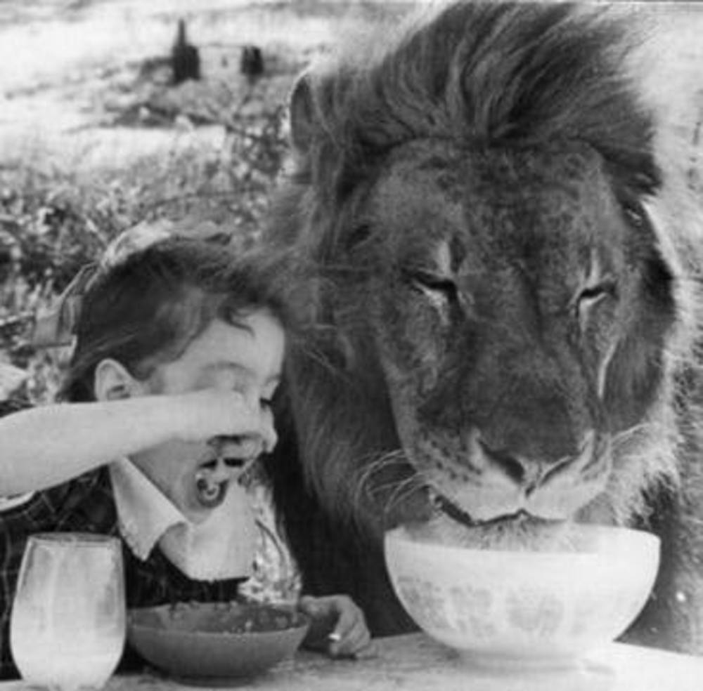 Meet your Posher, Paul